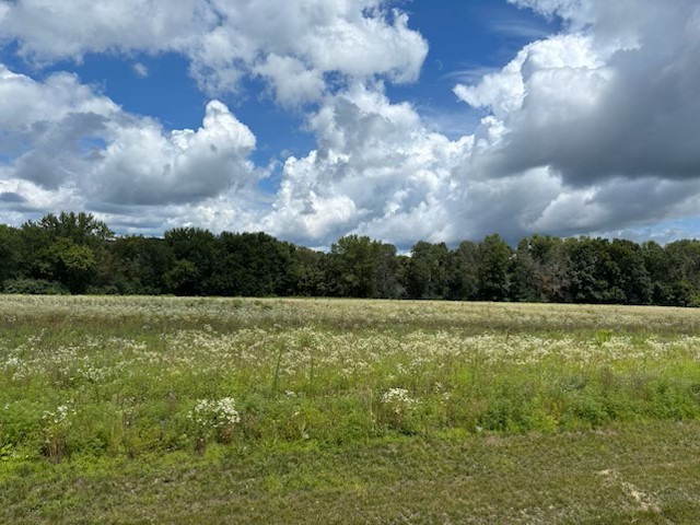 Lot 1 Blackstone Trail