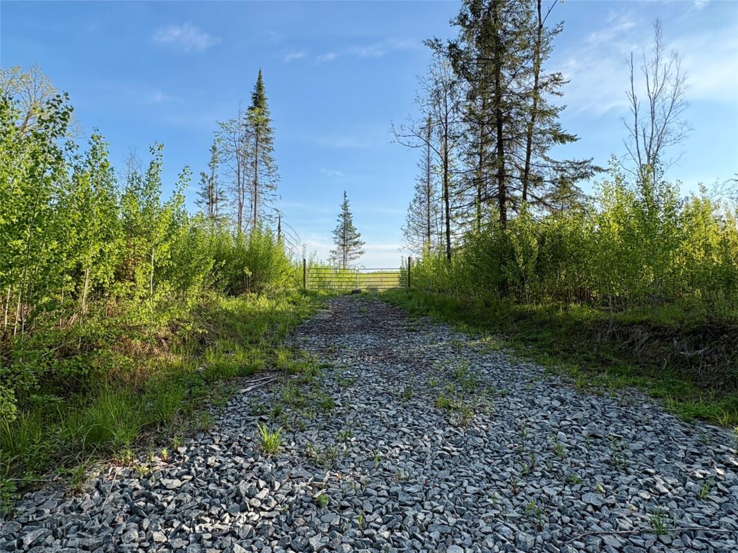 Lot 1 Girod Road, Ladysmith WI 54848 - Land house for sale - MLS #1601633 - image2
