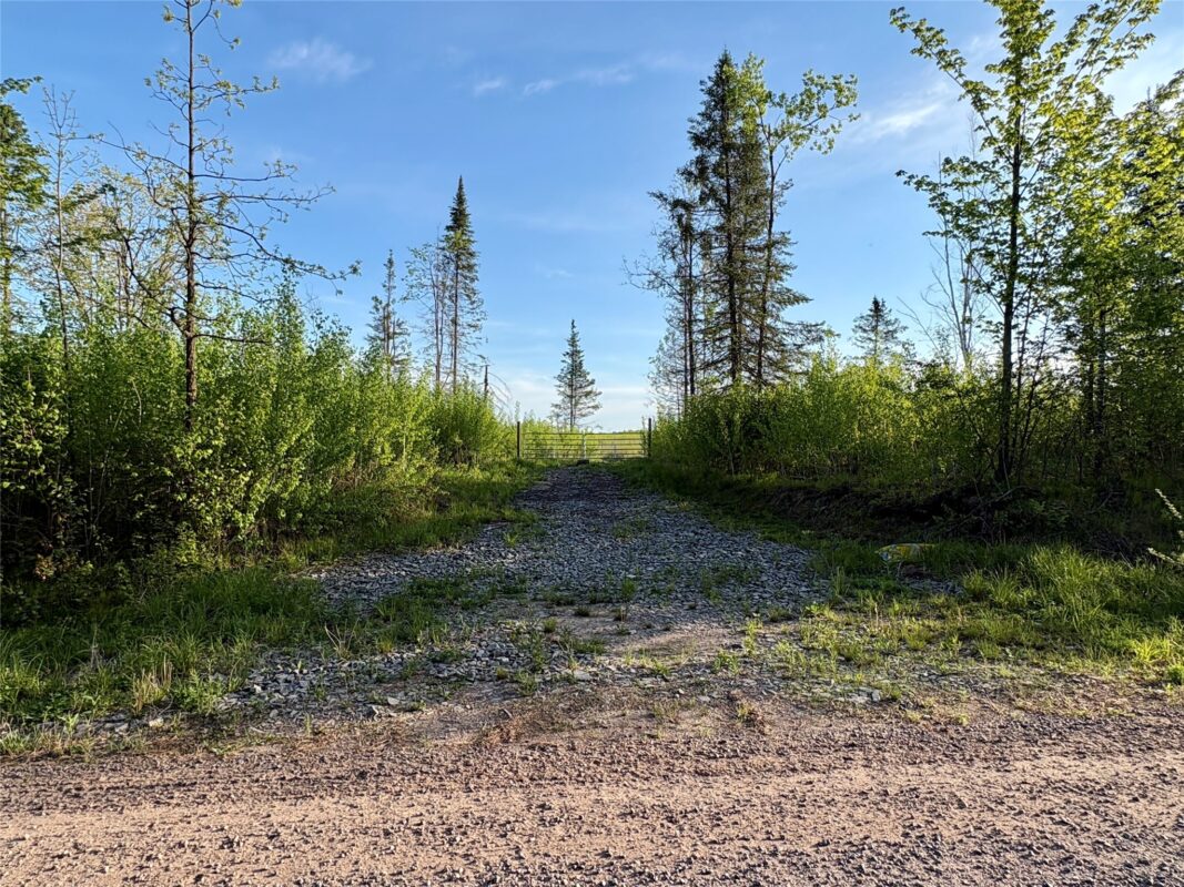 Lot 1 Girod Road, Ladysmith WI 54848 - Land house for sale - MLS #1601633 - image11