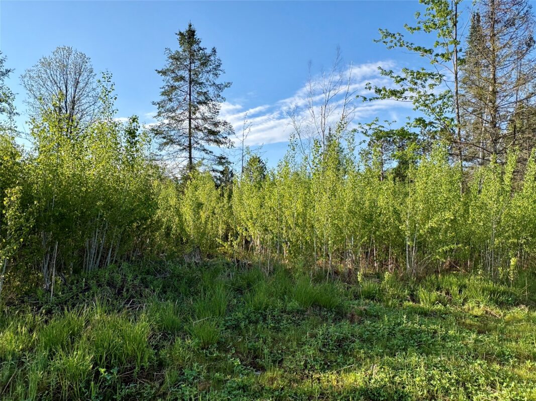 Lot 1 Girod Road, Ladysmith WI 54848 - Land house for sale - MLS #1601633 - image12