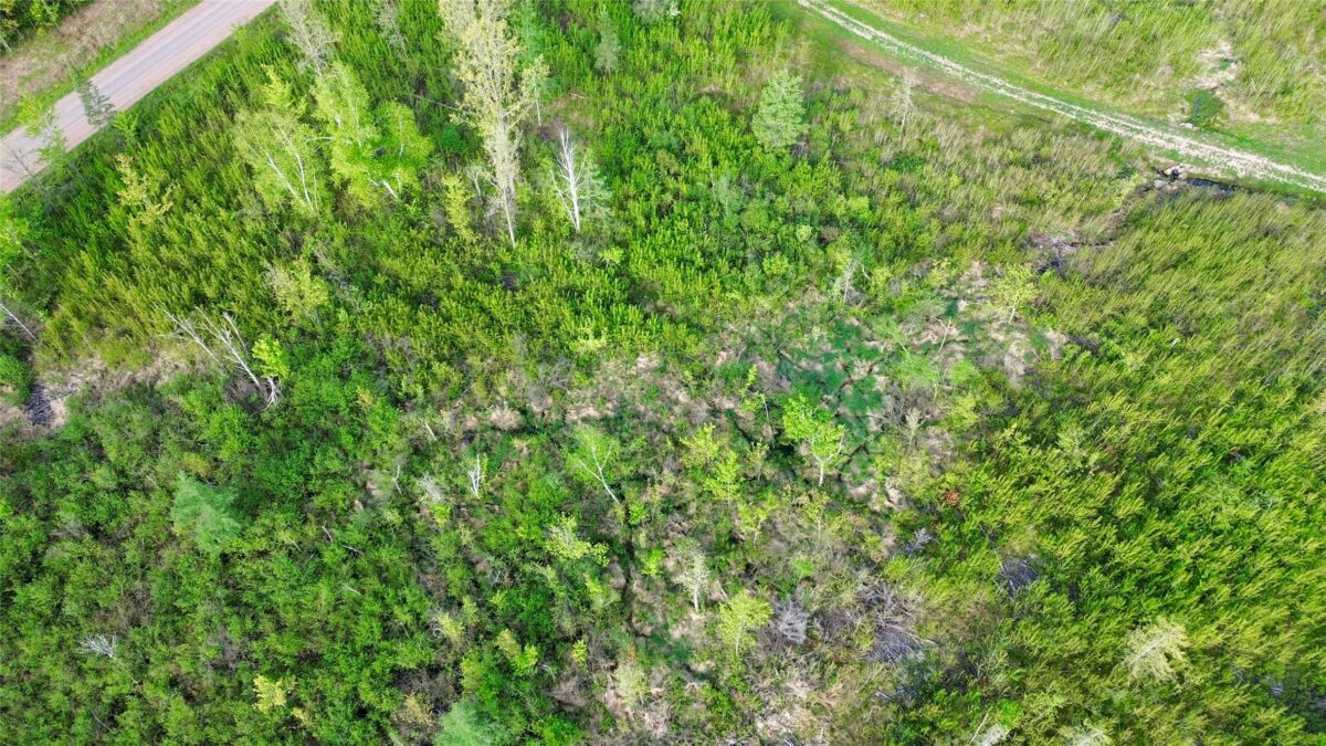 Lot 1 Girod Road, Ladysmith WI 54848 - Land house for sale - MLS #1601633 - image13