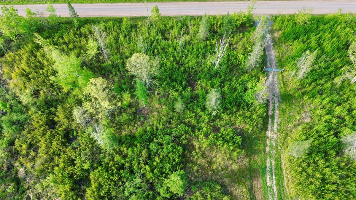 Lot 1 Girod Road, Ladysmith WI 54848 - Land house for sale - MLS #1601633 - image14