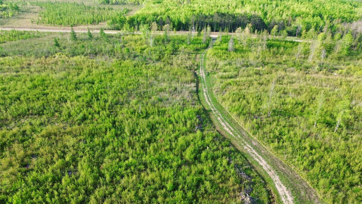 Lot 1 Girod Road, Ladysmith WI 54848 - Land house for sale - MLS #1601633 - image15