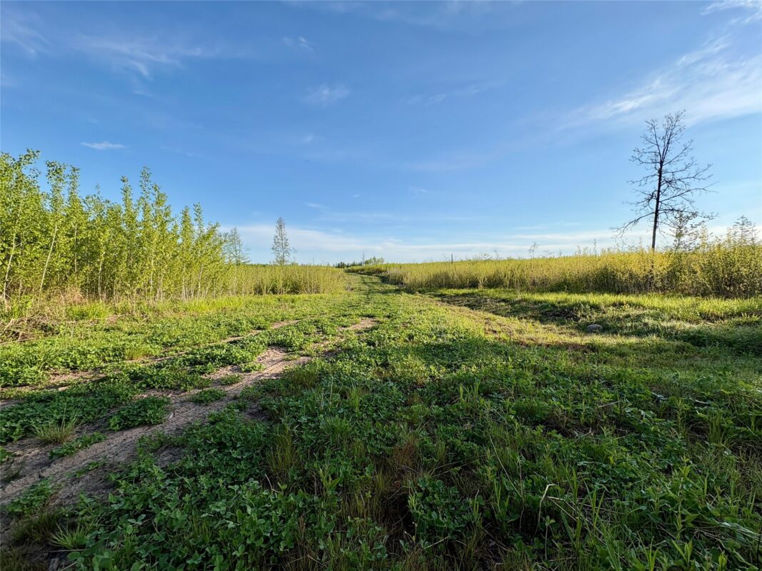Lot 1 Girod Road, Ladysmith WI 54848 - Land house for sale - MLS #1601633 - image16