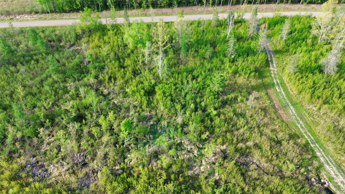 Lot 1 Girod Road, Ladysmith WI 54848 - Land house for sale - MLS #1601633 - image18