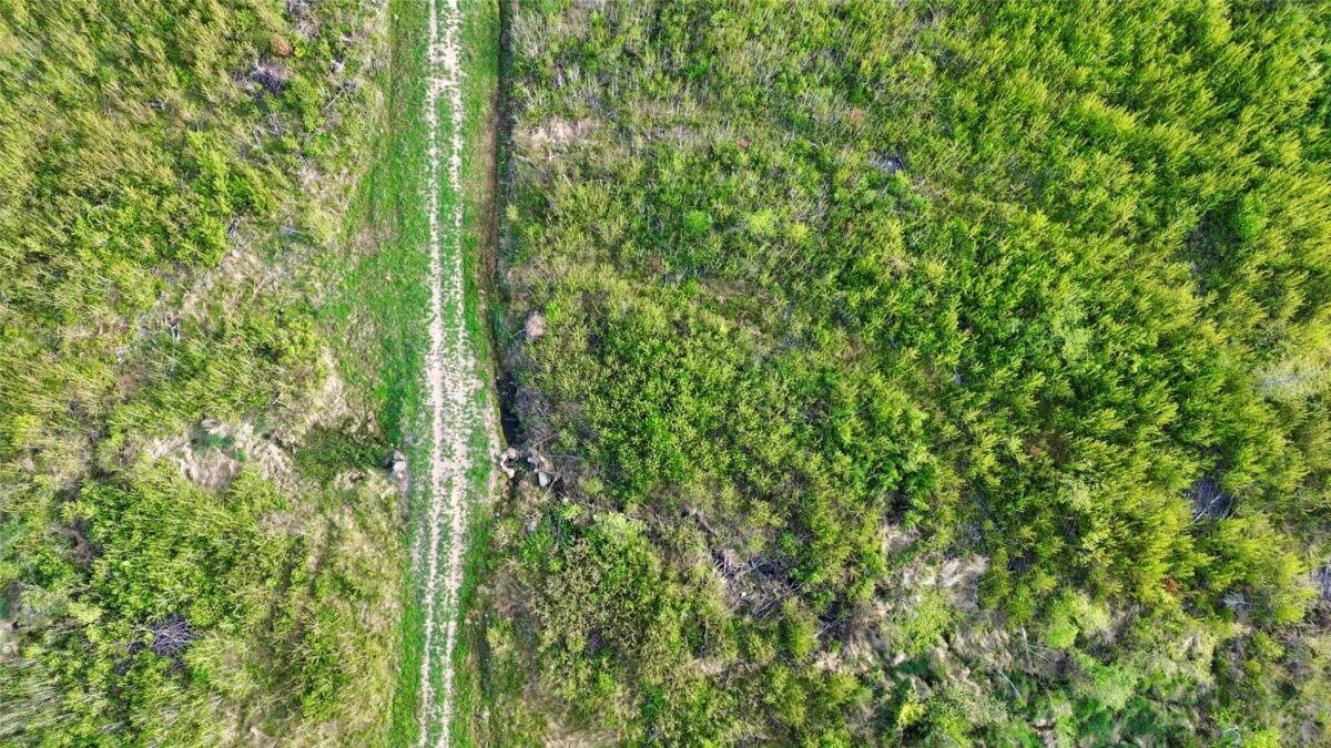 Lot 1 Girod Road, Ladysmith WI 54848 - Land house for sale - MLS #1601633 - image19