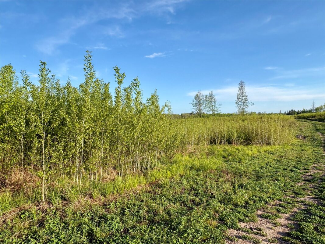Lot 1 Girod Road, Ladysmith WI 54848 - Land house for sale - MLS #1601633 - image20