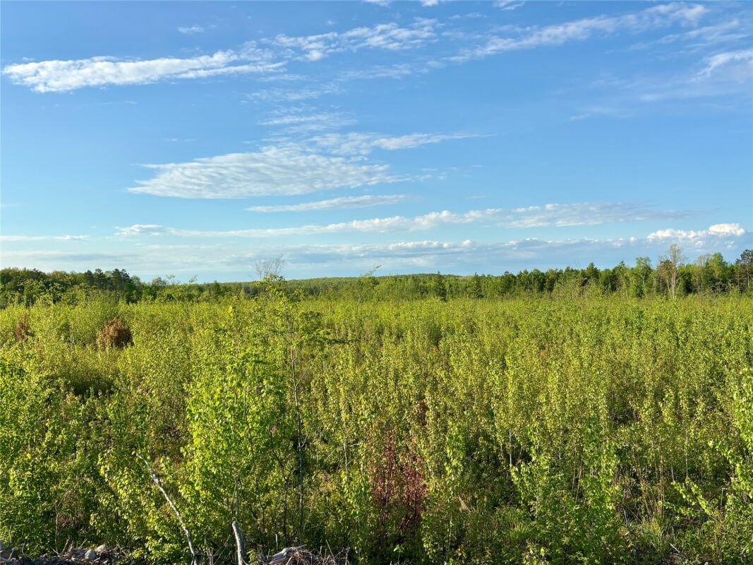 Lot 1 Girod Road, Ladysmith WI 54848 - Land house for sale - MLS #1601633 - image21
