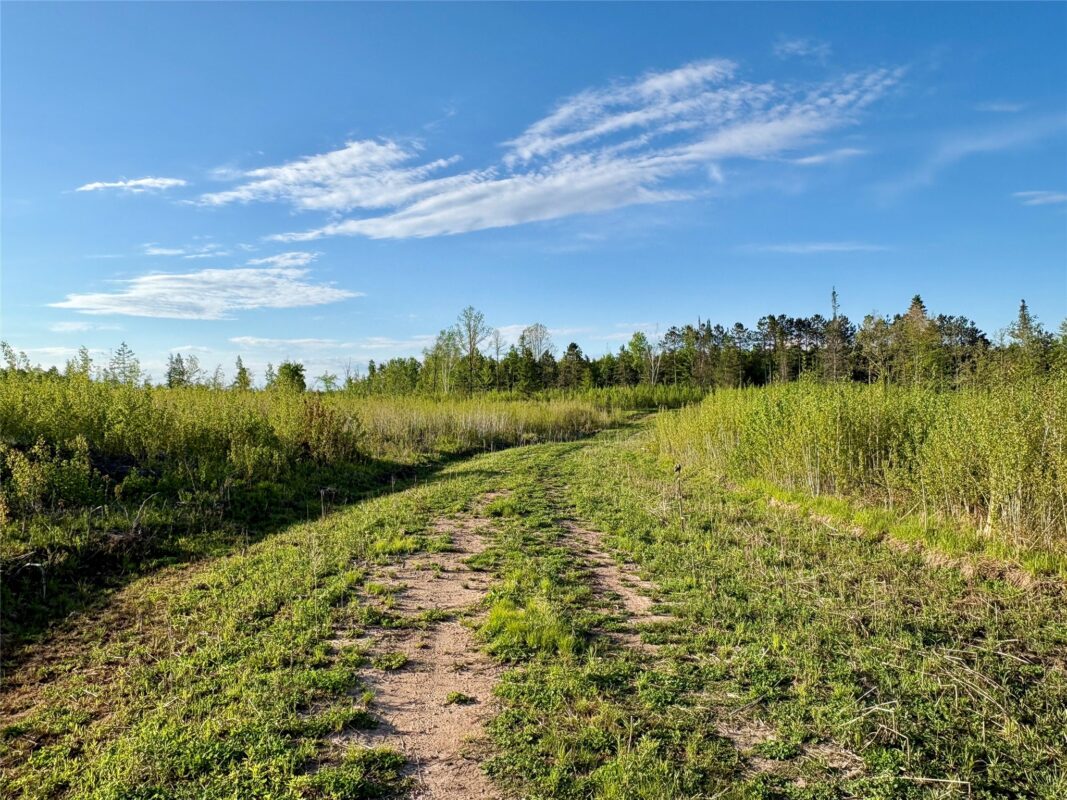 Lot 1 Girod Road, Ladysmith WI 54848 - Land house for sale - MLS #1601633 - image26