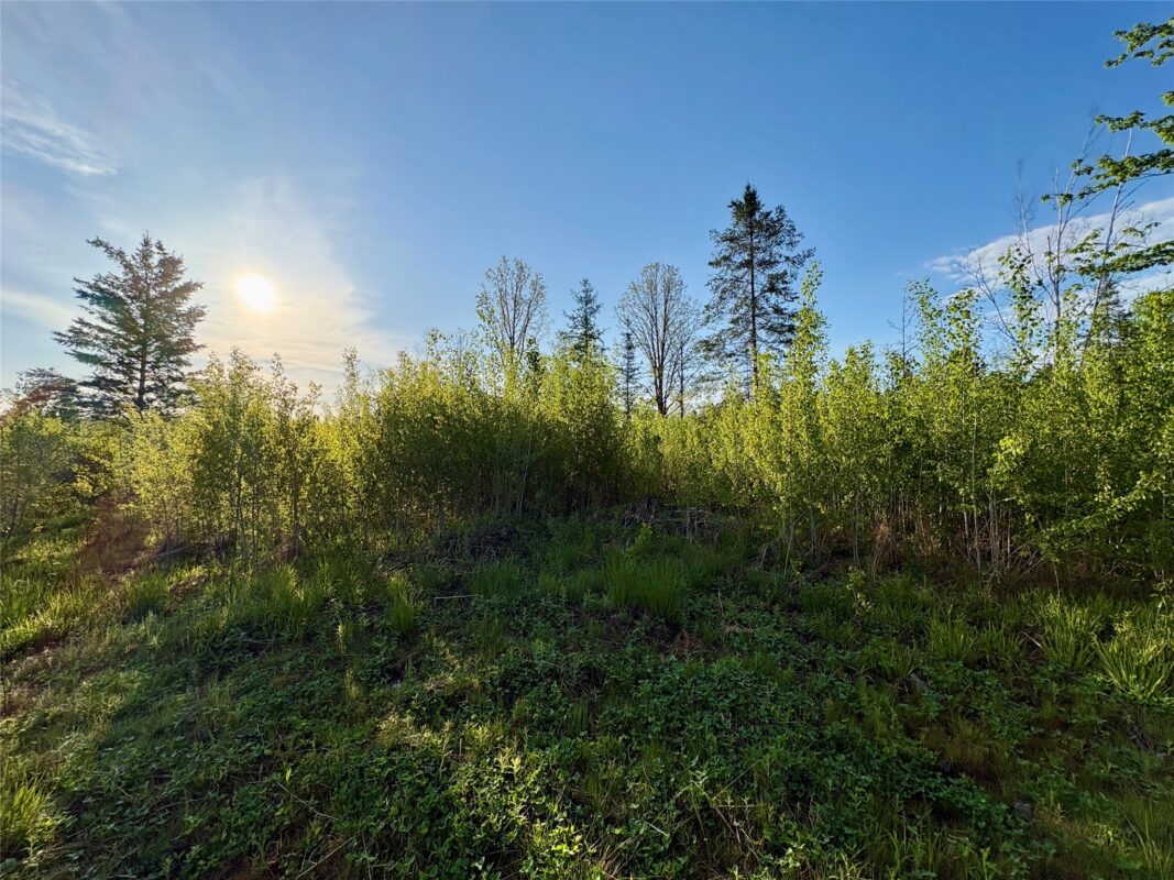 Lot 1 Girod Road, Ladysmith WI 54848 - Land house for sale - MLS #1601633 - image4