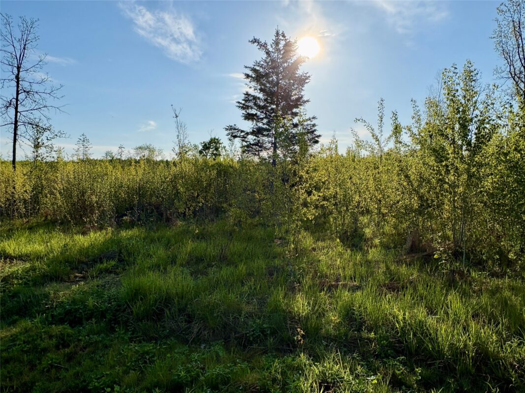 Lot 1 Girod Road, Ladysmith WI 54848 - Land house for sale - MLS #1601633 - image5