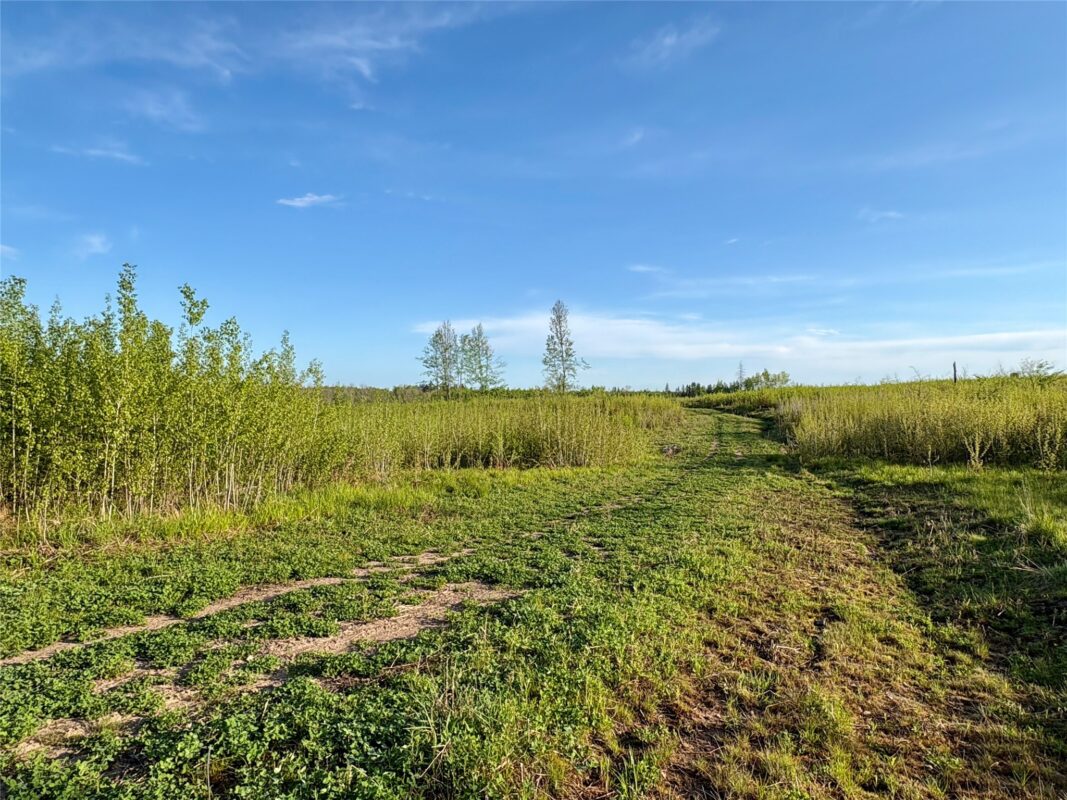 Lot 1 Girod Road, Ladysmith WI 54848 - Land house for sale - MLS #1601633 - image6