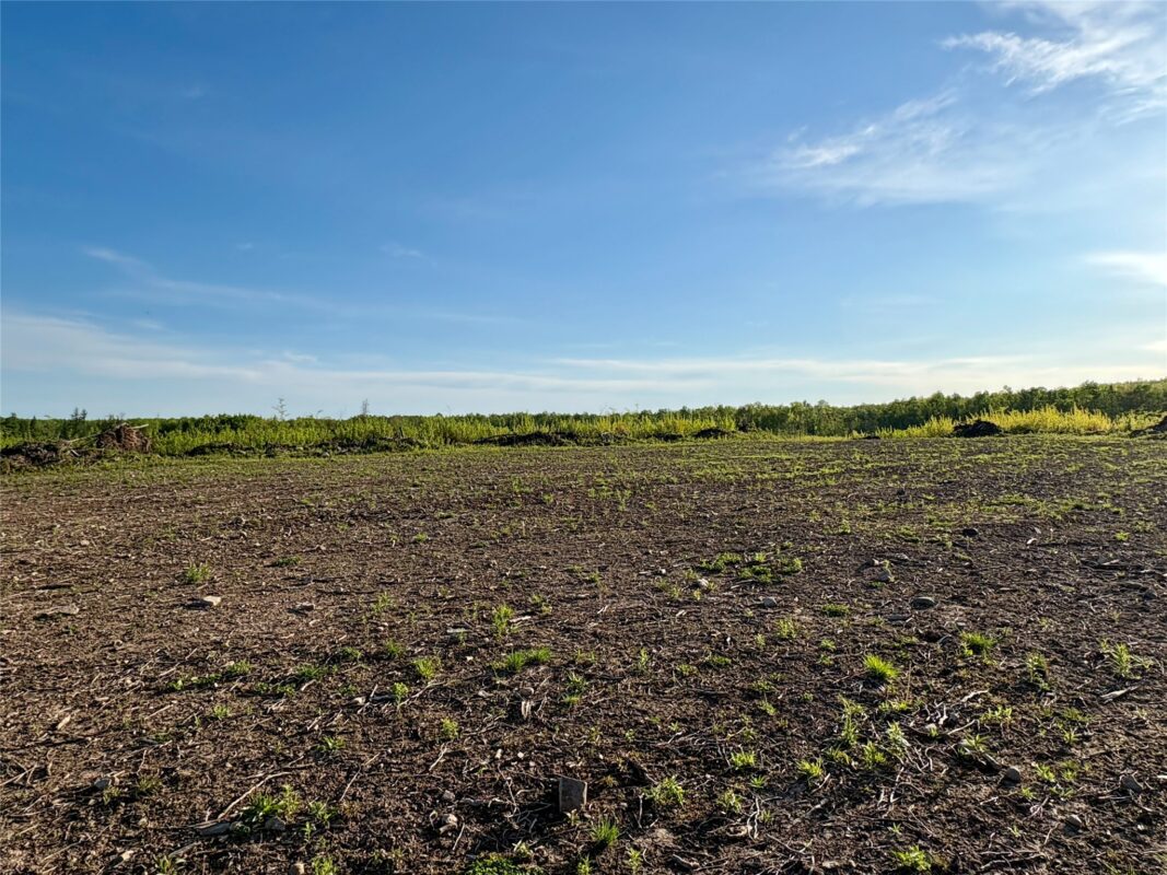 Lot 1 Girod Road, Ladysmith WI 54848 - Land house for sale - MLS #1601633 - image10