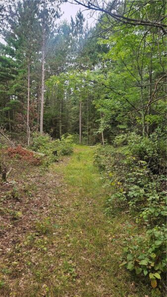 Lot 1 Hazelnut Lane