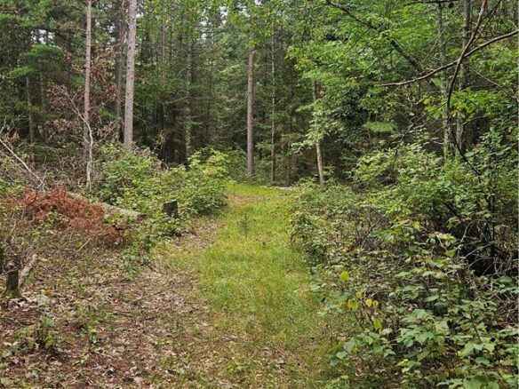 Lot 1 Hazelnut Lane, Hayward, WI
