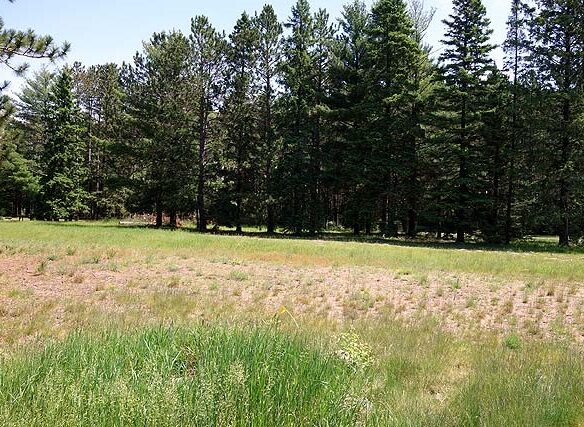 Lot 1 Highway B, Hayward, WI