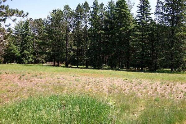 Lot 1 Highway B  Hayward WI 54843