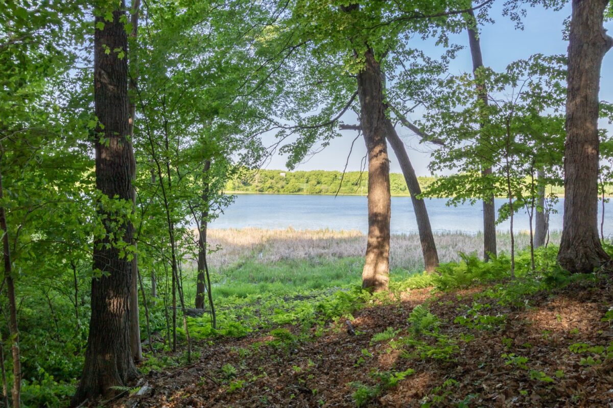Lot 16 134th Avenue, Amery WI 54001 - Land house for sale - MLS #1601685 - image2