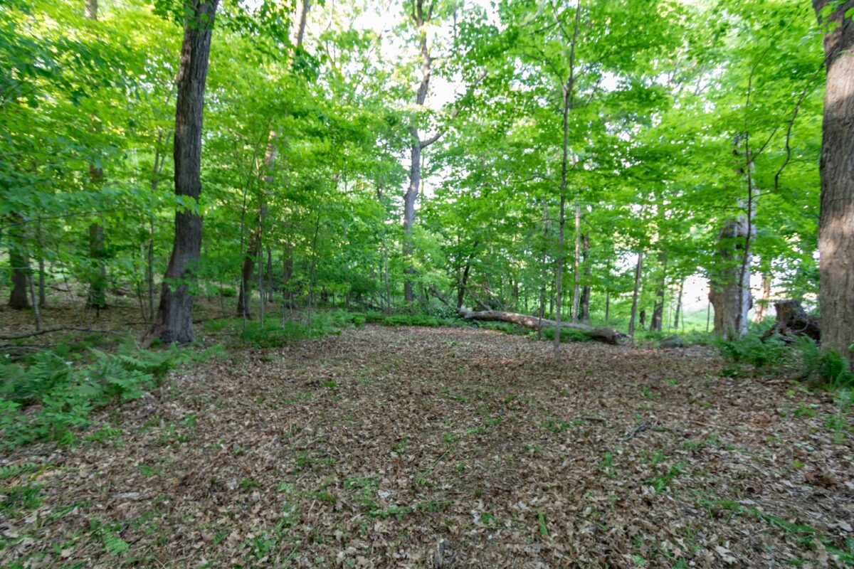 Lot 16 134th Avenue, Amery WI 54001 - Land house for sale - MLS #1601685 - image11