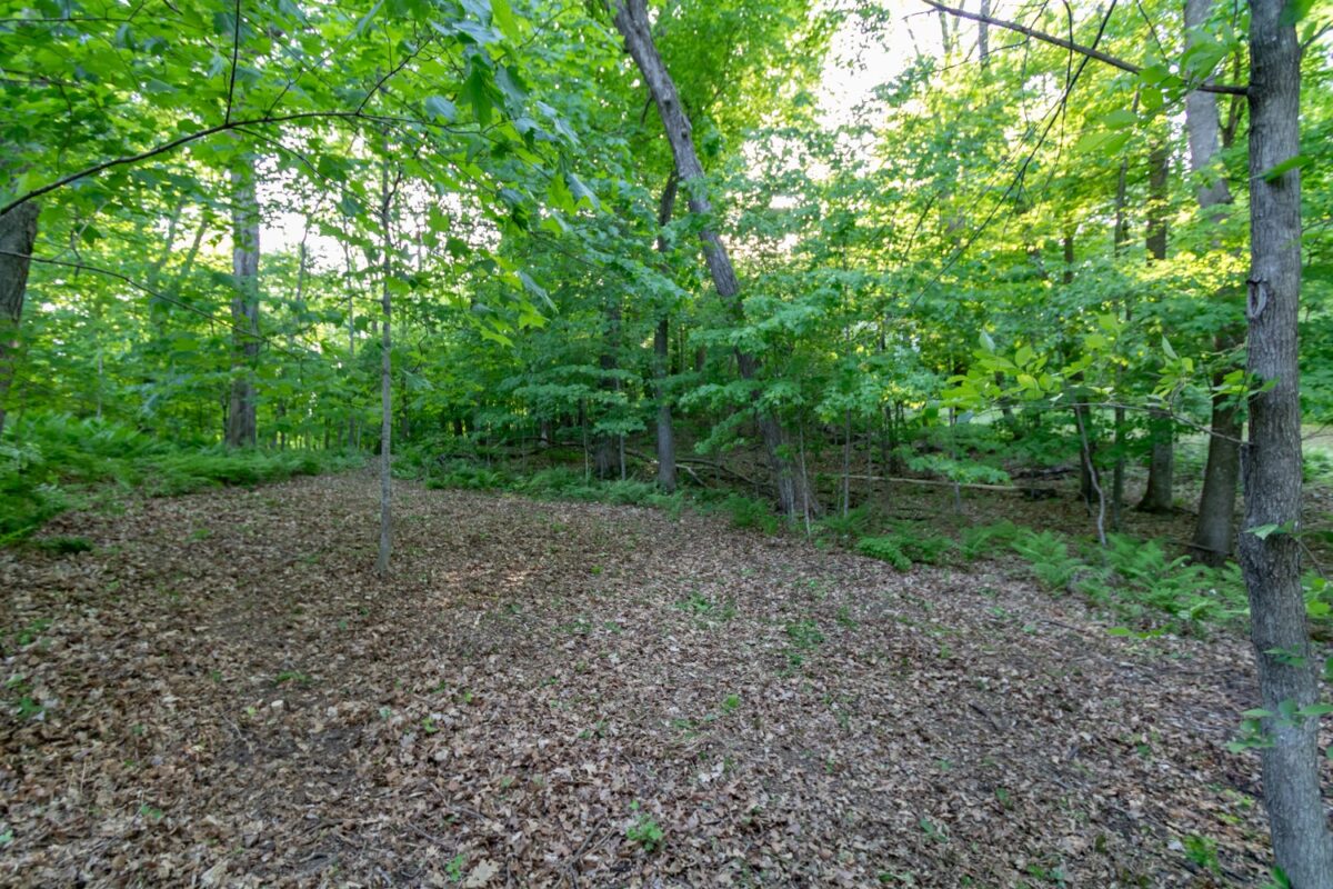Lot 16 134th Avenue, Amery WI 54001 - Land house for sale - MLS #1601685 - image12