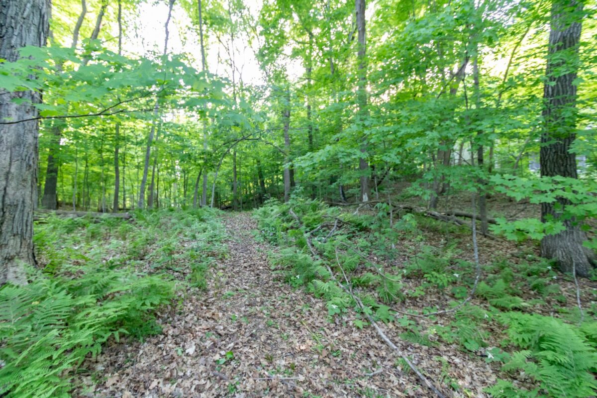 Lot 16 134th Avenue, Amery WI 54001 - Land house for sale - MLS #1601685 - image13