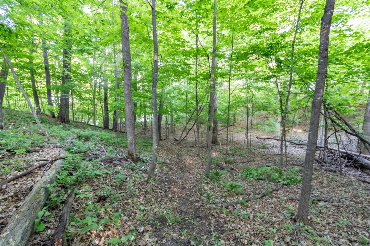 Lot 16 134th Avenue, Amery WI 54001 - Land house for sale - MLS #1601685 - image14