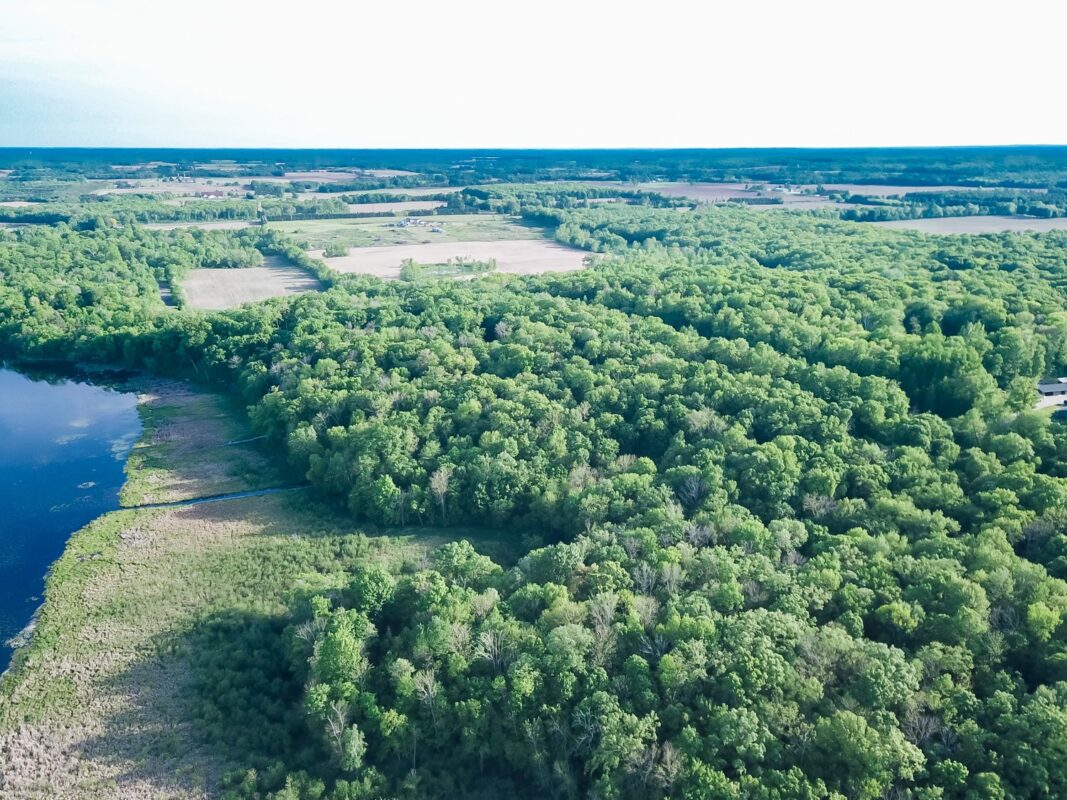 Lot 16 134th Avenue, Amery WI 54001 - Land house for sale - MLS #1601685 - image22