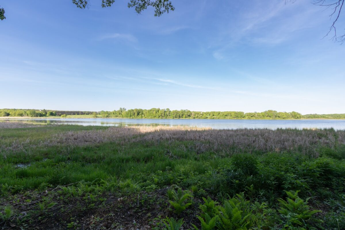 Lot 16 134th Avenue, Amery WI 54001 - Land house for sale - MLS #1601685 - image6