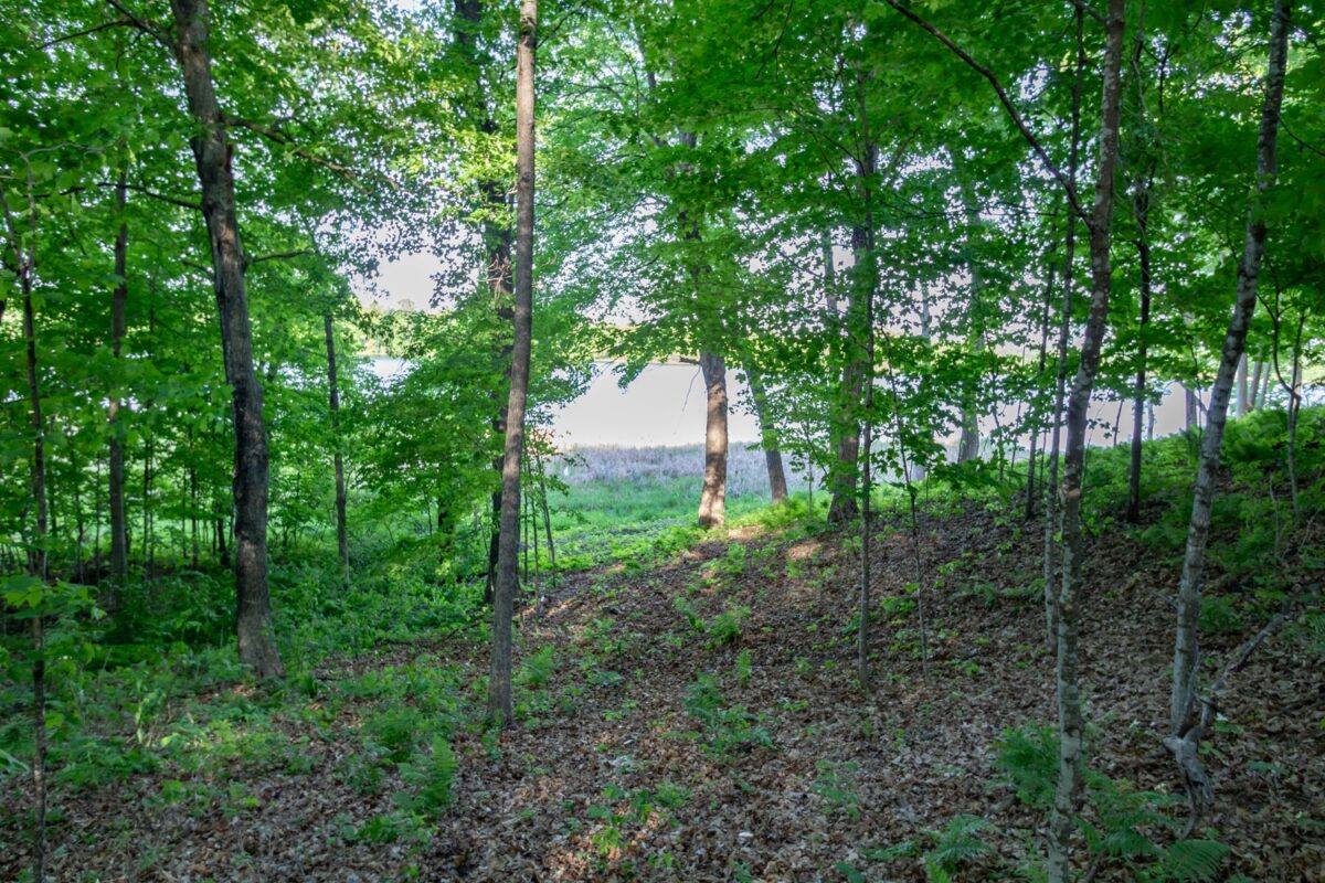 Lot 16 134th Avenue, Amery WI 54001 - Land house for sale - MLS #1601685 - image8