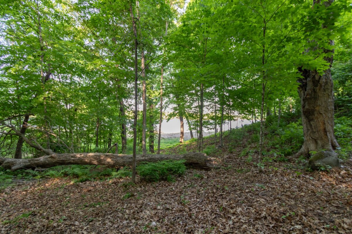 Lot 16 134th Avenue, Amery WI 54001 - Land house for sale - MLS #1601685 - image9