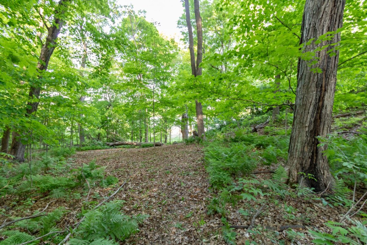 Lot 16 134th Avenue, Amery WI 54001 - Land house for sale - MLS #1601685 - image10