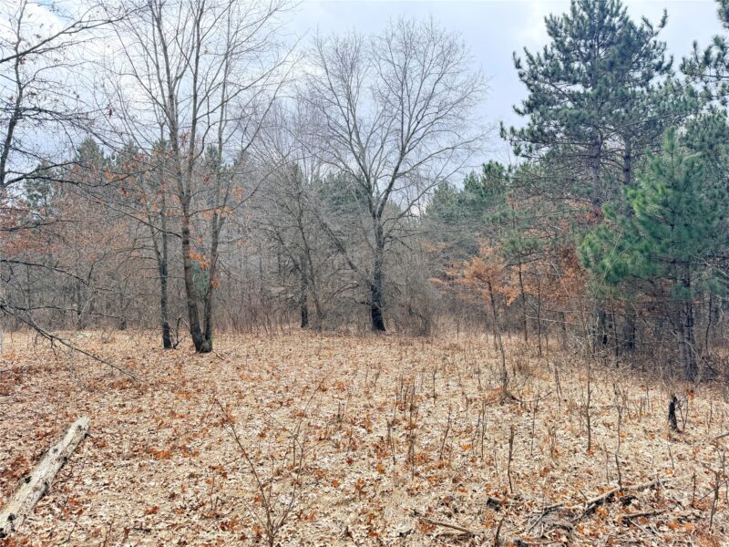 Lot 2 Big Lake Drive