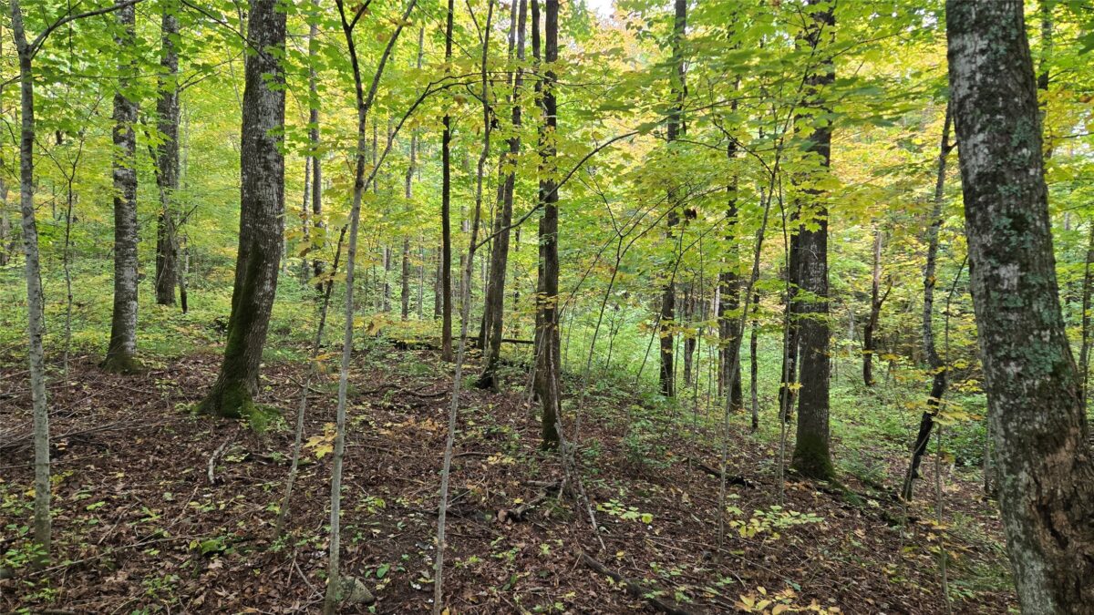 Lot 2 Lakeview LN., Exeland, WI — photo 4