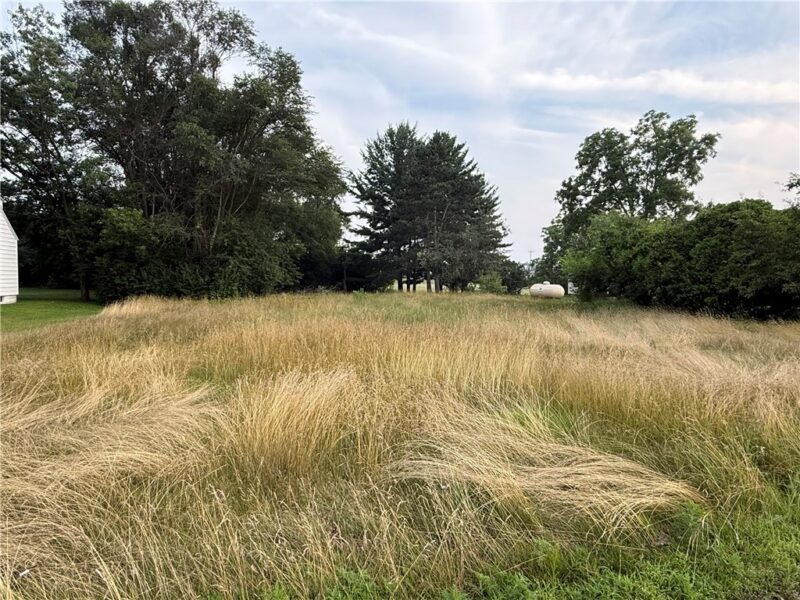 Lot 2 South Ave 