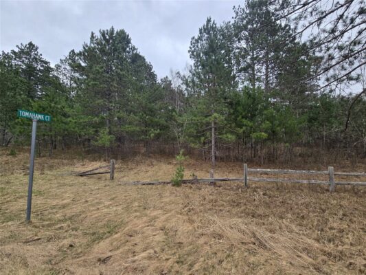 Lot 20 George Lake Road Barnes WI 54873