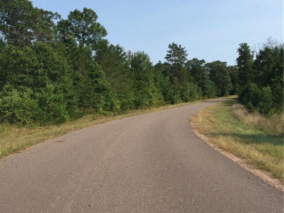 Lot 22 Shady Lane, Siren, WI