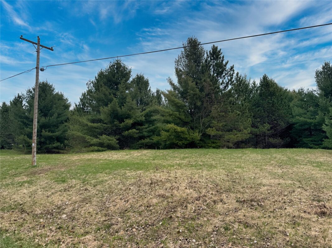 Lot 3 (5 acres) on County Rd P, Lake Nebagamon, WI — photo 12