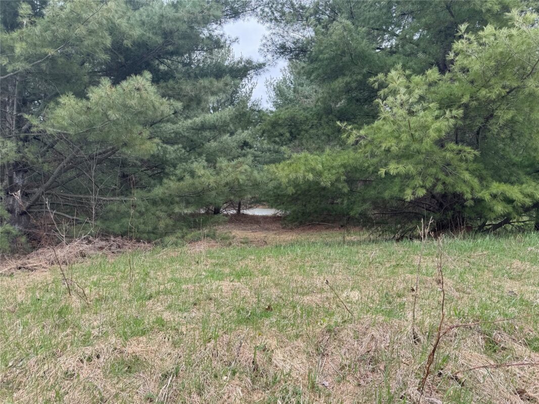 Lot 3 (5 acres) on County Rd P, Lake Nebagamon, WI — photo 16