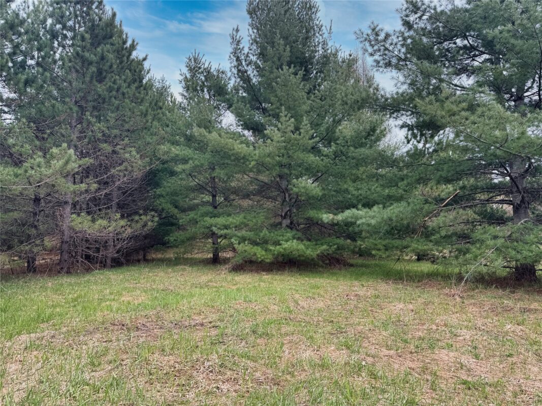 Lot 3 (5 acres) on County Rd P, Lake Nebagamon, WI — photo 17