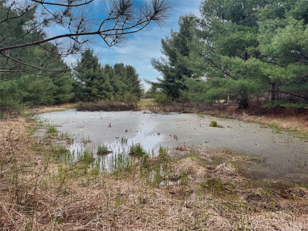Lot 3 (5 acres) on County Rd P, Lake Nebagamon, WI — photo 19