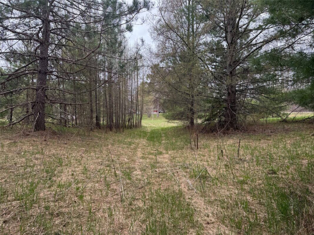 Lot 3 (5 acres) on County Rd P, Lake Nebagamon, WI — photo 20
