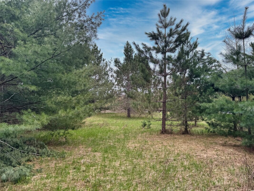 Lot 3 (5 acres) on County Rd P, Lake Nebagamon, WI — photo 21