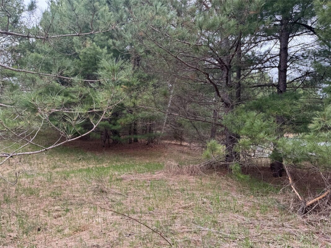 Lot 3 (5 acres) on County Rd P, Lake Nebagamon, WI — photo 22