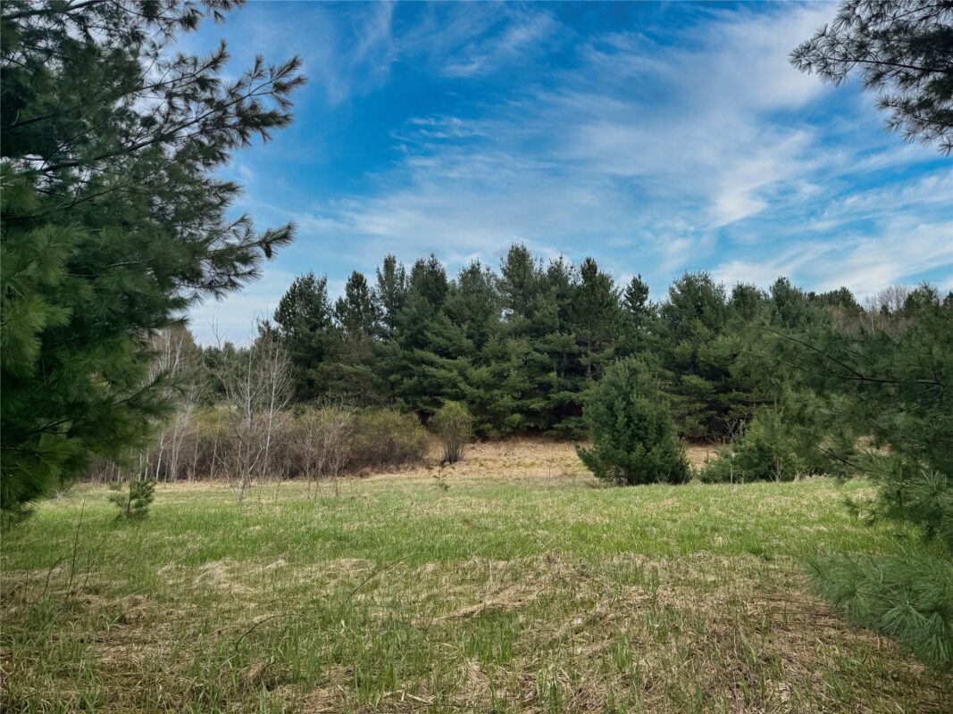 Lot 3 (5 acres) on County Rd P, Lake Nebagamon, WI — photo 23