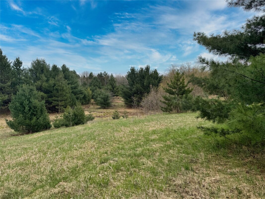 Lot 3 (5 acres) on County Rd P, Lake Nebagamon, WI — photo 24