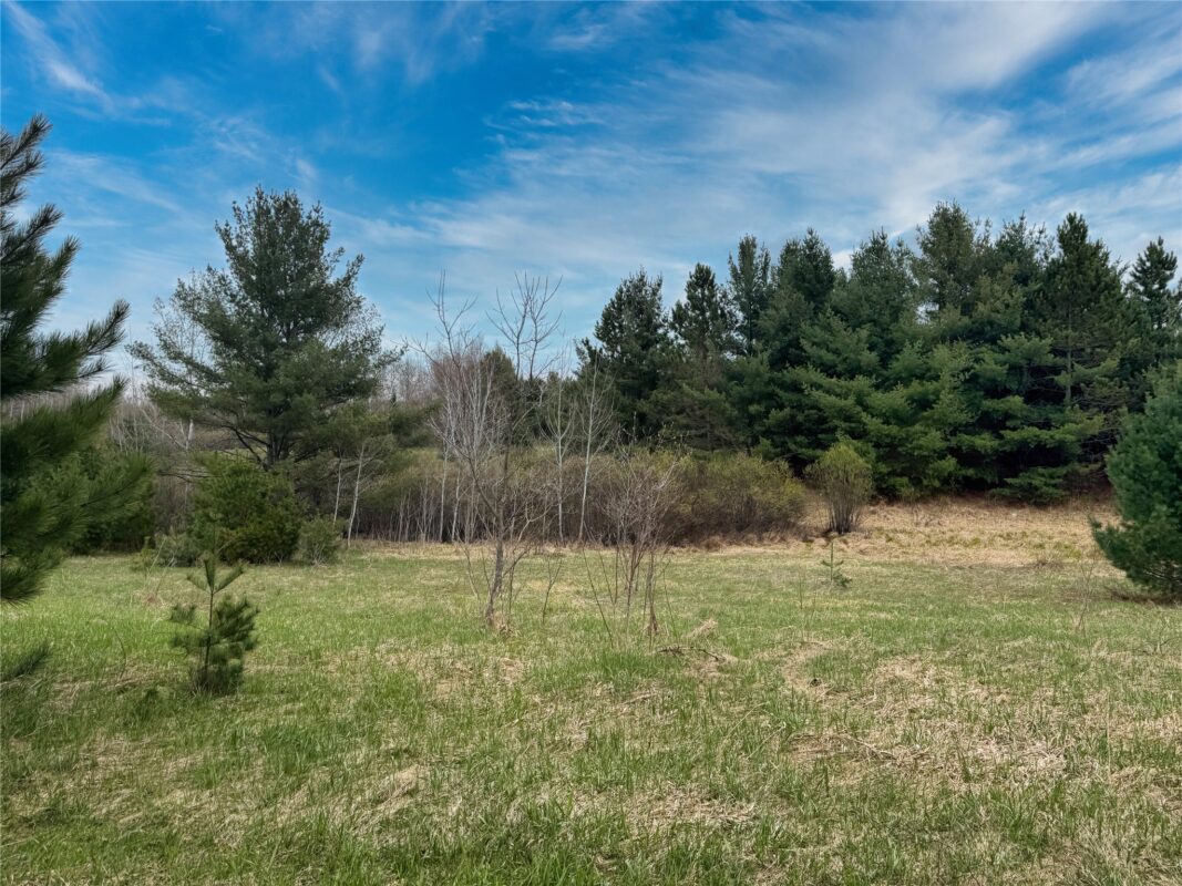 Lot 3 (5 acres) on County Rd P, Lake Nebagamon, WI — photo 25