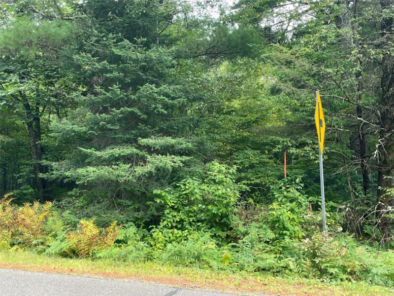 Lot 4 Hermosa Lane