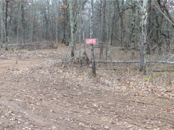Lot 5 Canute Creek Trl, Grantsburg, WI