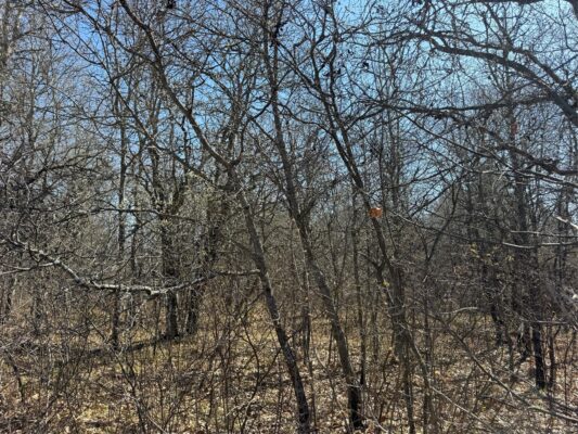 Lot 53 Wilderness Court Barnes WI 54873
