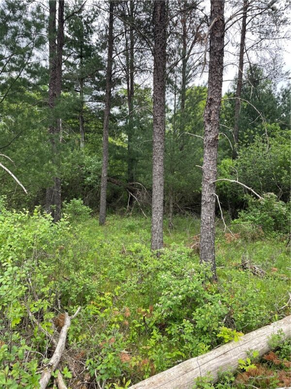 Lot 7 112th Street, Chippewa Falls, WI — photo 6